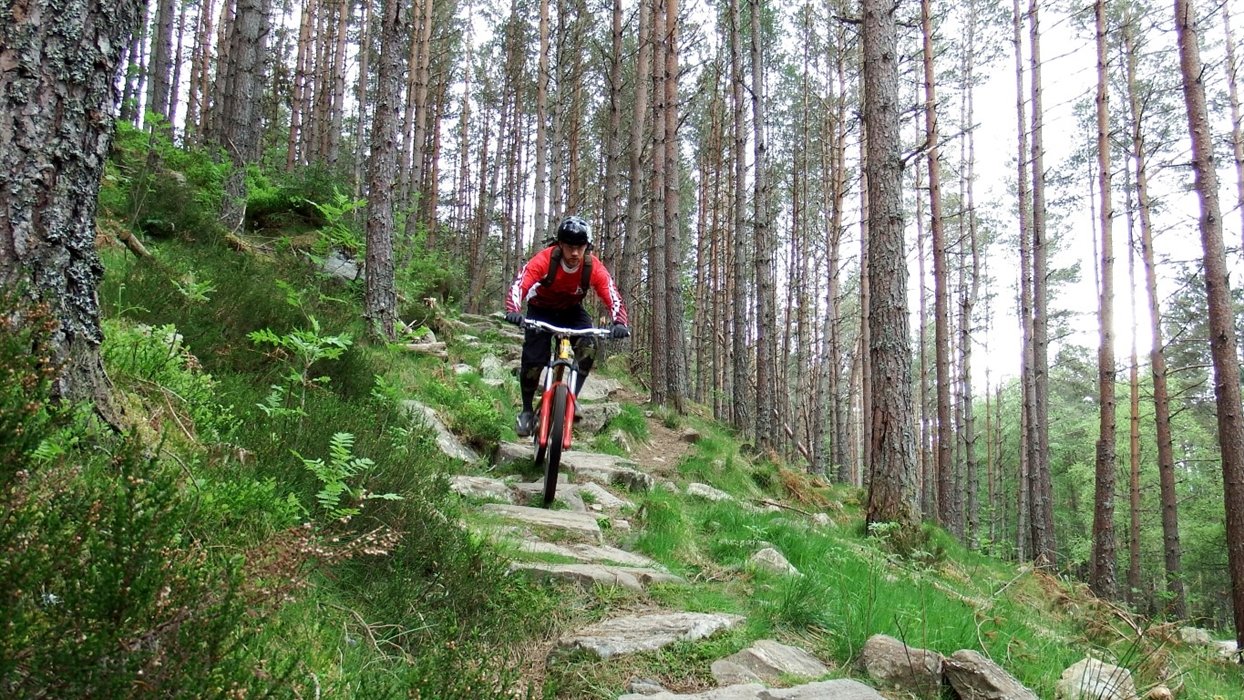 laggan_wolftrax_mountain_biking_centre_aviemore_scotland