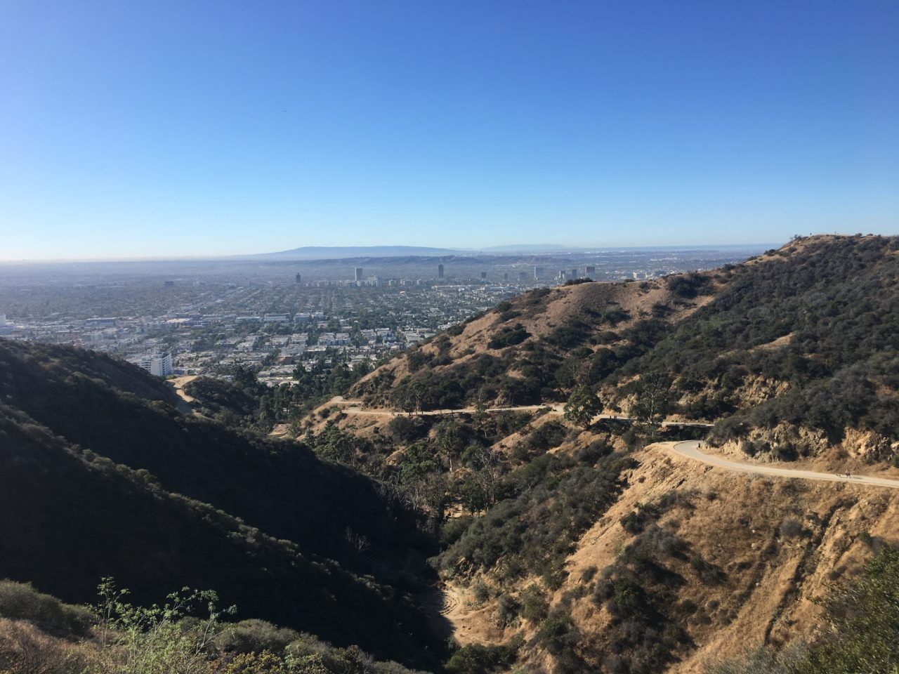 runyon_canyon_los_angeles_across_the_valley